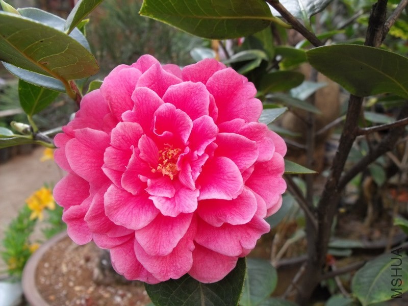 DSCF3358.JPG