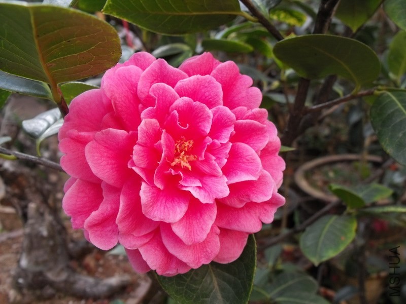 DSCF3359.JPG