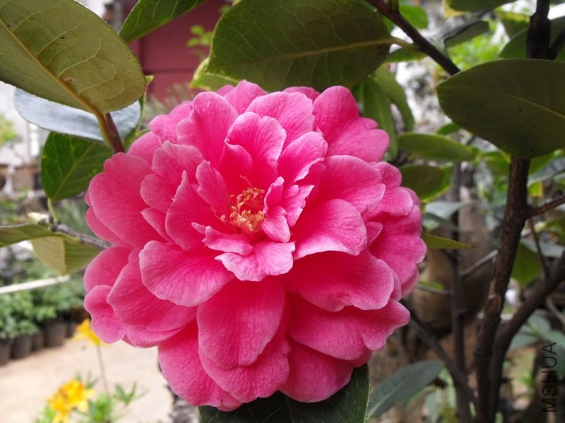 DSCF3369.JPG