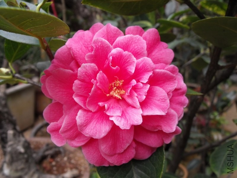 DSCF3372.JPG