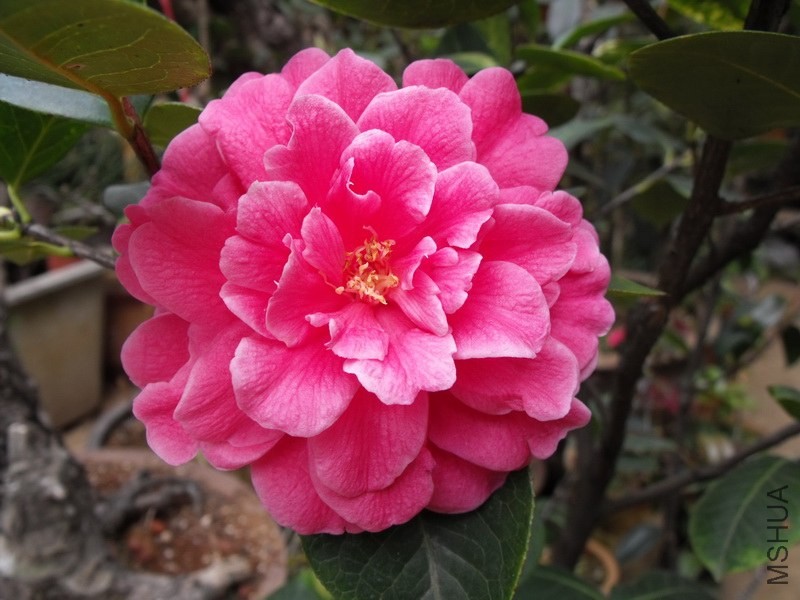 DSCF3373.JPG