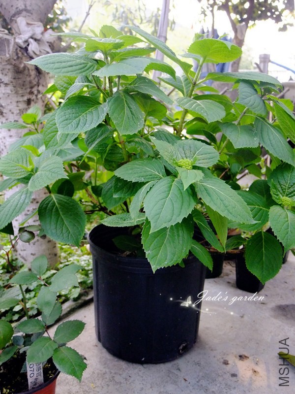 DSCF5499.jpg