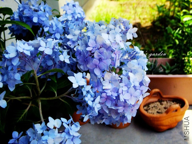DSCF1219.jpg