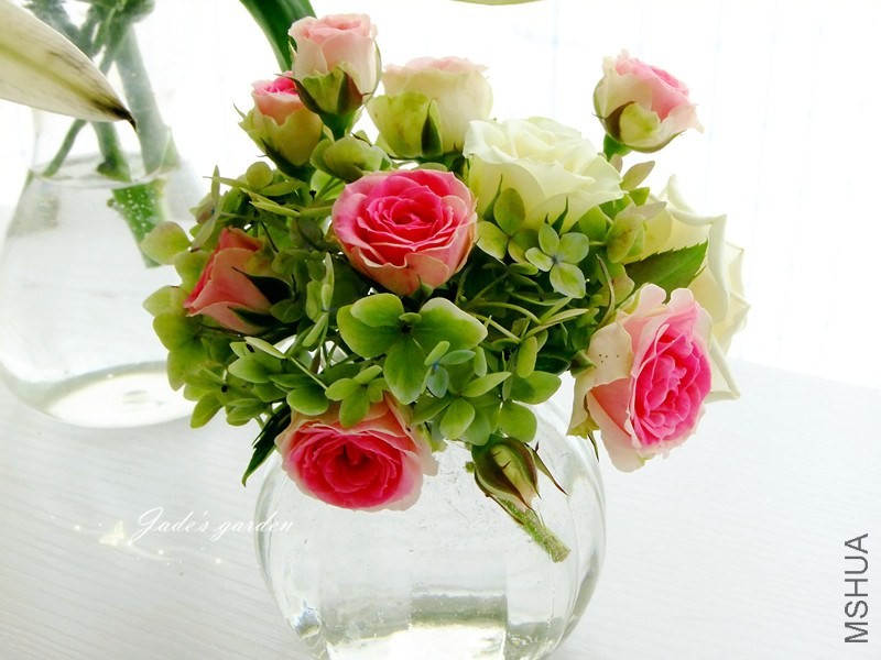 DSCF1754.jpg