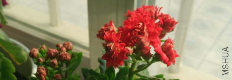 QQ��ͼ20140409093320.jpg