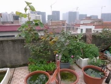 ������С P1020546.JPG