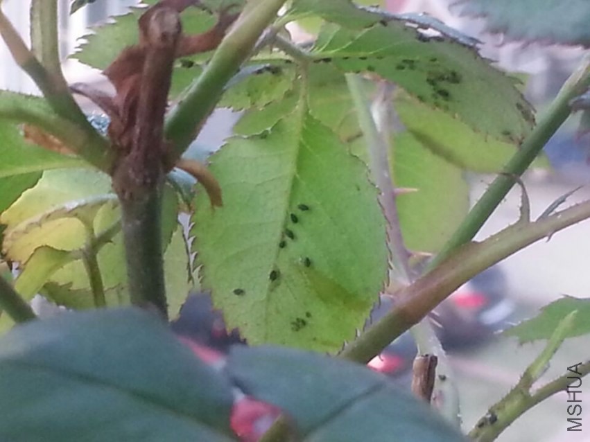 ���س���20140409