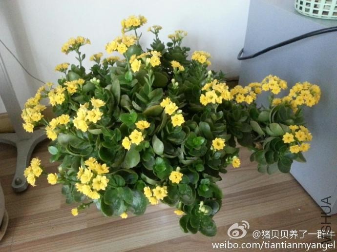 �񾭵ĳ���20140409