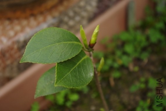 �²¿���ʲô��