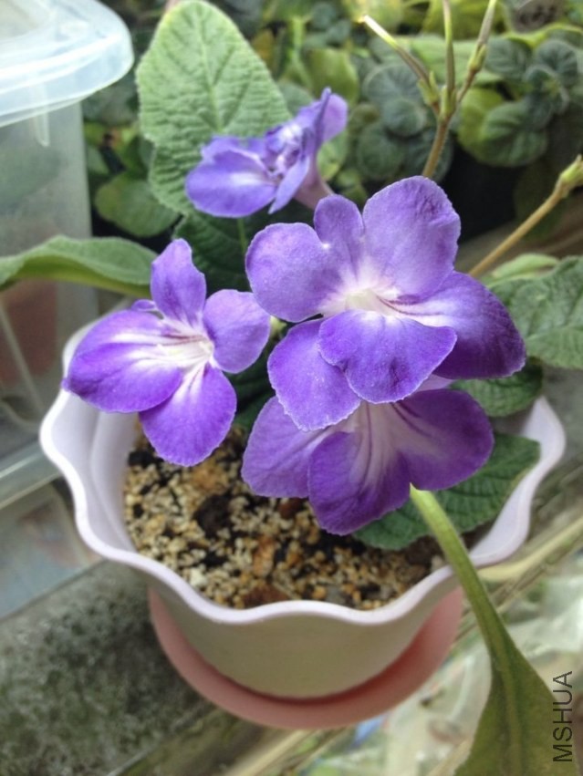 QQͼƬ20140227111828.jpg