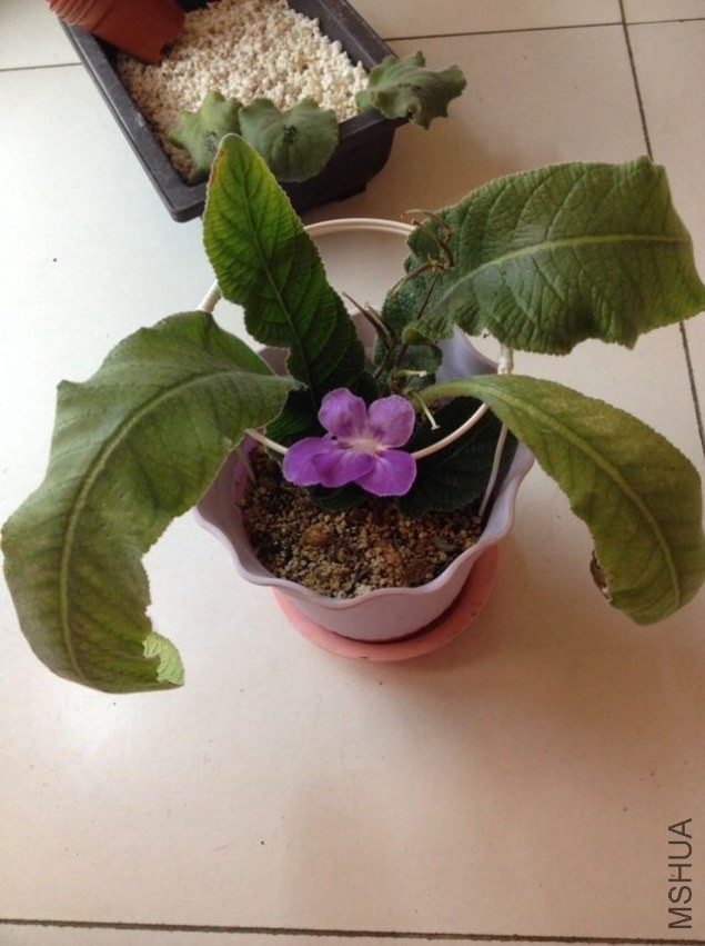 QQͼƬ20140227111840.jpg