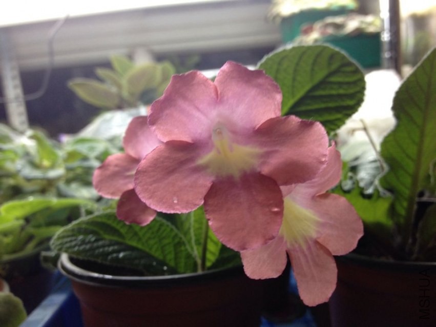 QQͼƬ20140408140025.jpg