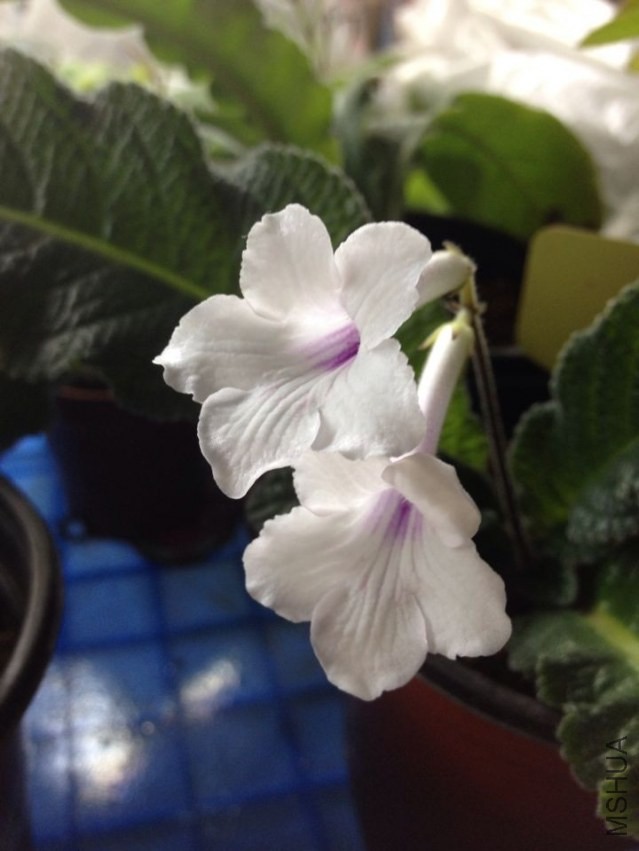 QQͼƬ20140408141132.jpg