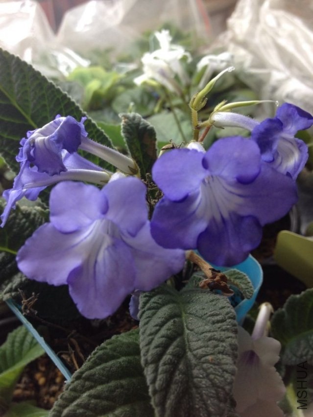 QQͼƬ20140408140452.jpg