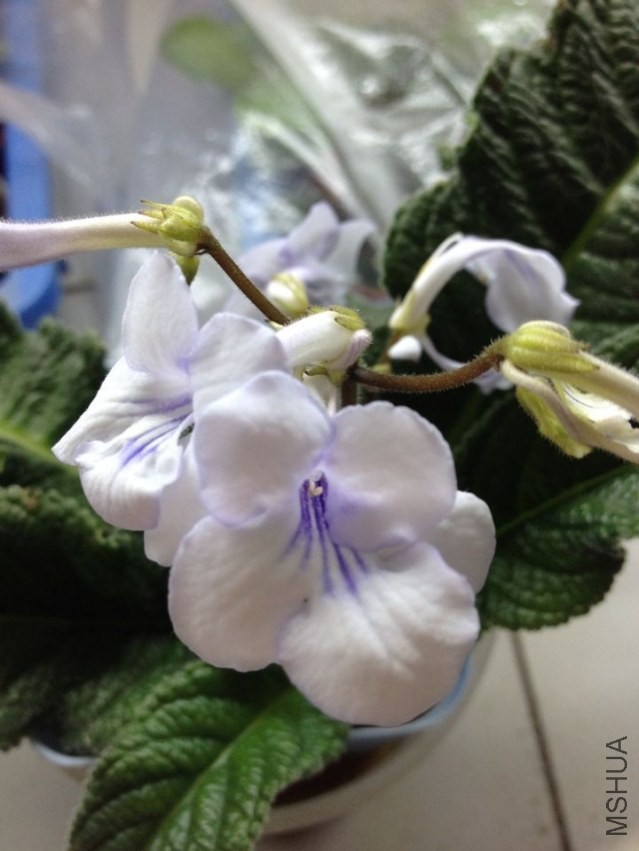 QQͼƬ20140408140503.jpg