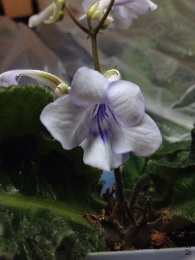 QQͼƬ20140408140519.jpg