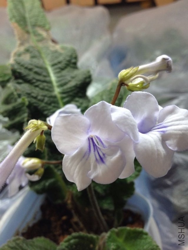QQͼƬ20140408140523.jpg