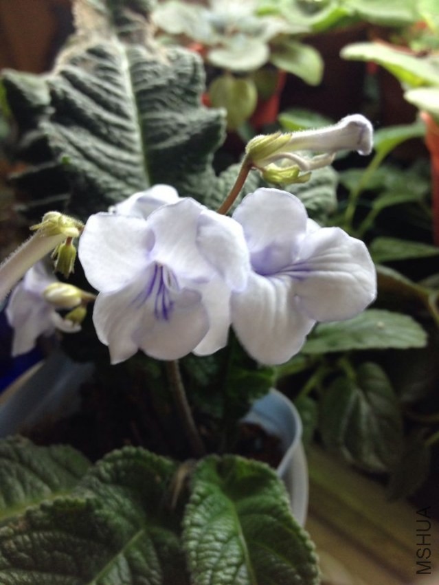 QQͼƬ20140408140527.jpg