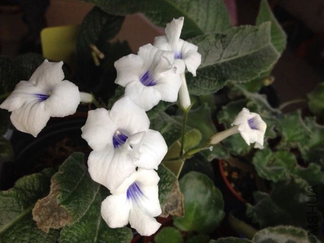 QQͼƬ20140408141155.jpg