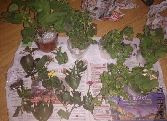 QQ��ͼ20140409125149.jpg