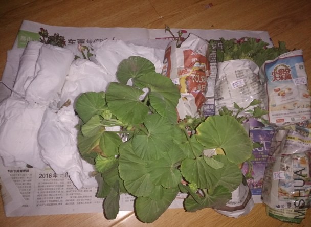 QQ��ͼ20140409125059.jpg