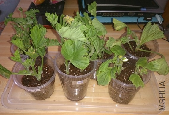 QQ��ͼ20140409125209.jpg