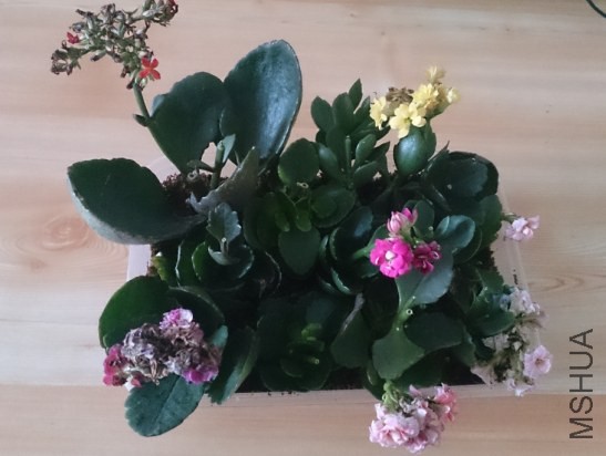 QQ��ͼ20140409125226.jpg
