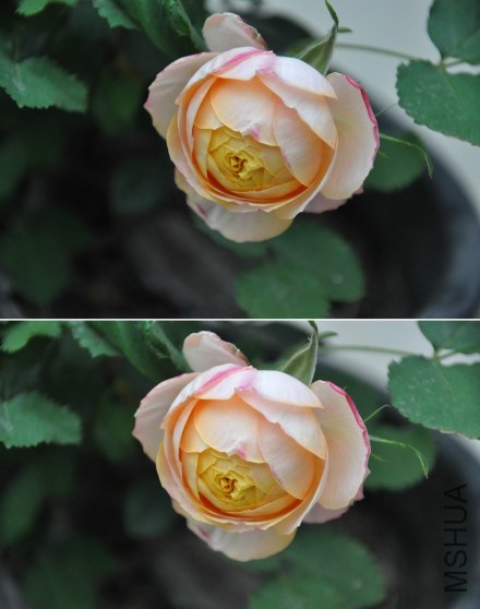 QQ��ͼ20140409170211.jpg