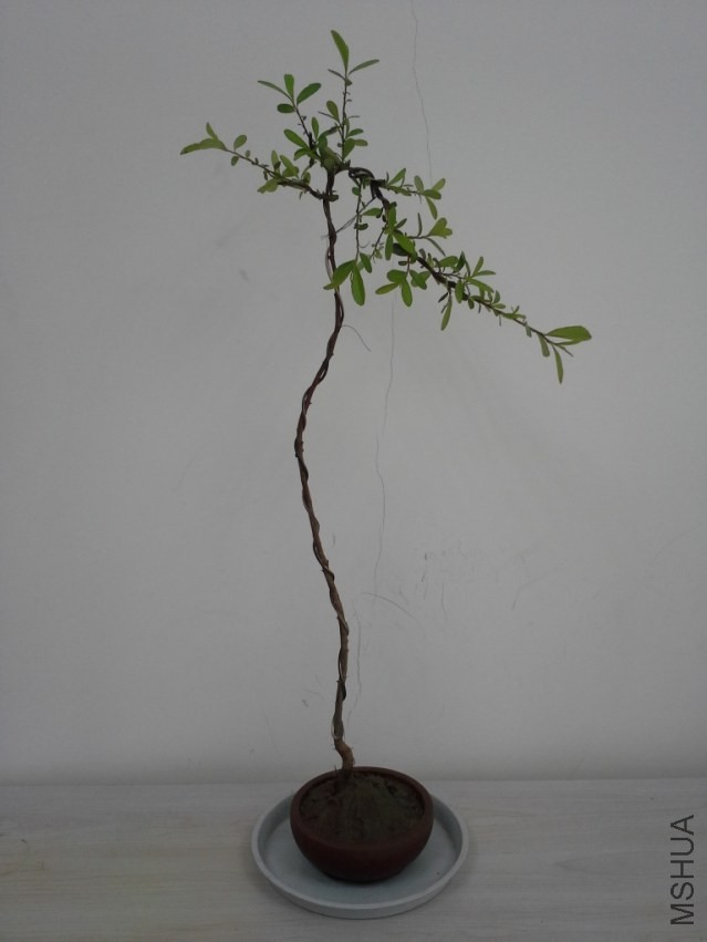 20140331_154817.jpg