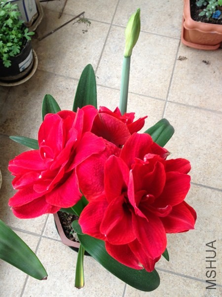 2014ӣ����ܽ1.jpg
