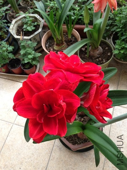2014ӣ����ܽ2.jpg