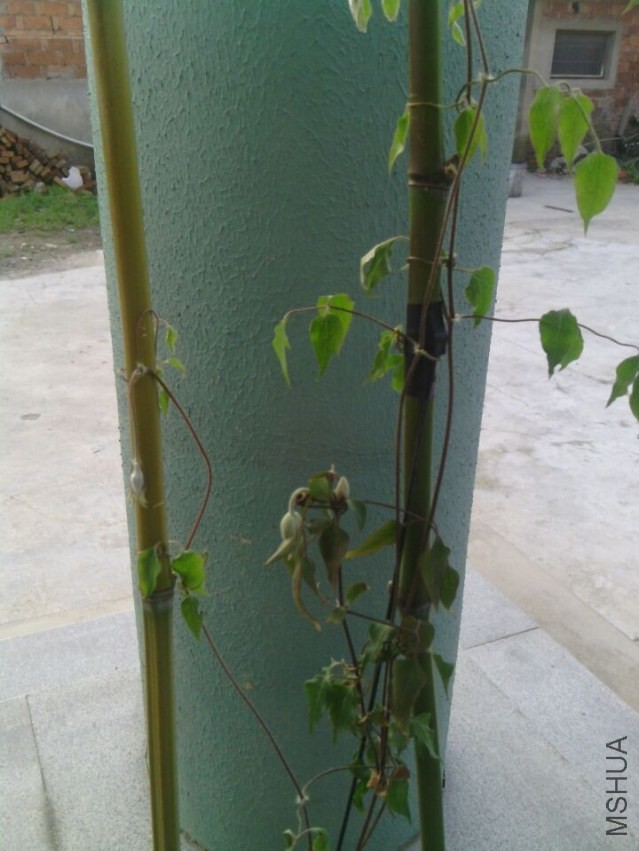 QQͼƬ20140410073406.jpg