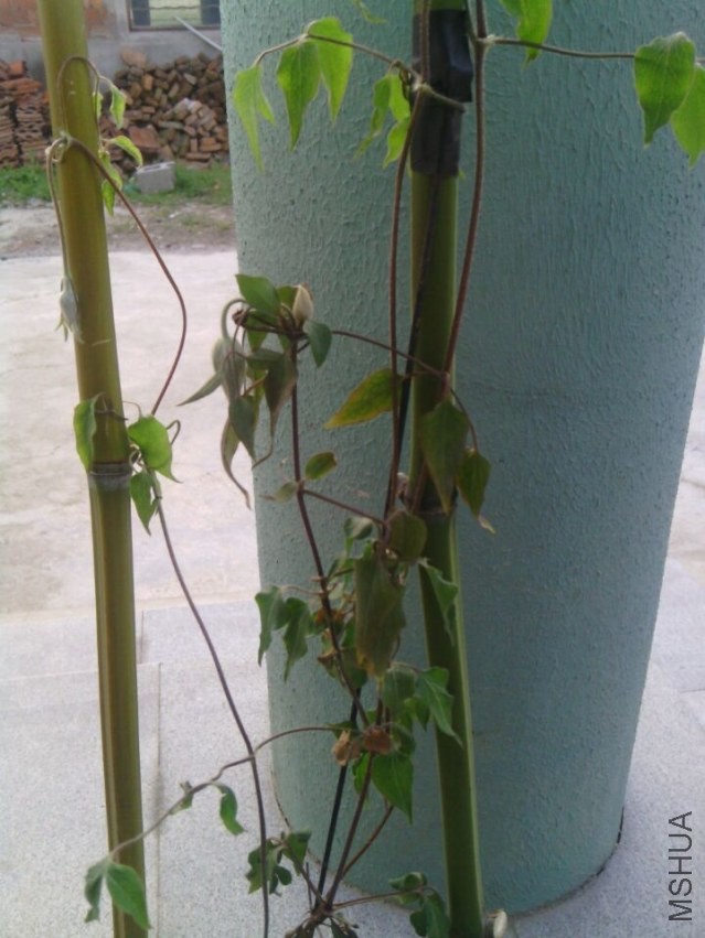 QQͼƬ20140410073402.jpg
