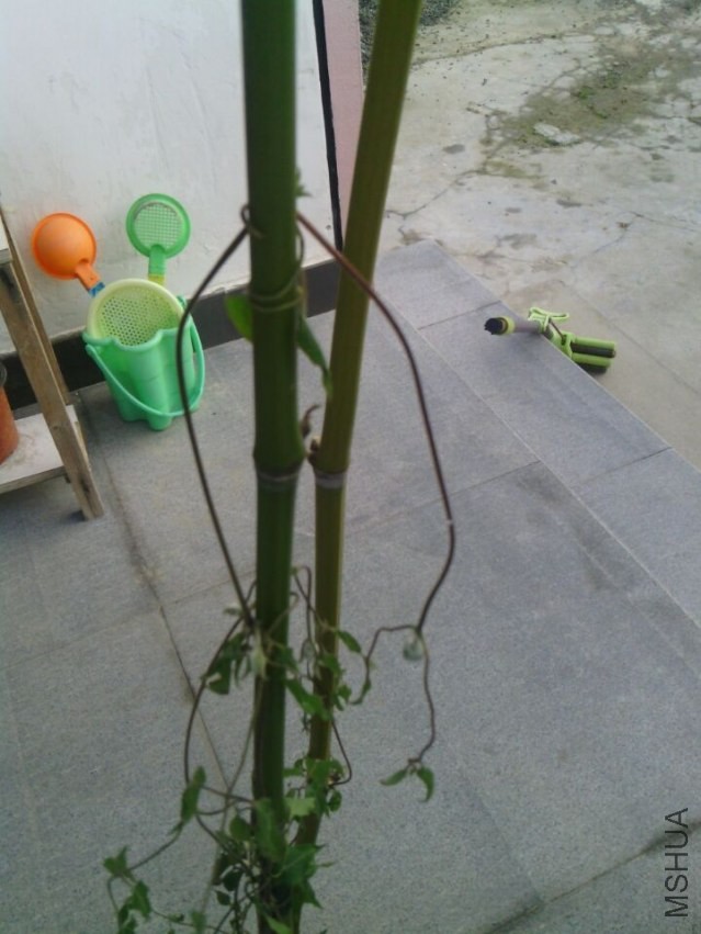 QQͼƬ20140410073357.jpg
