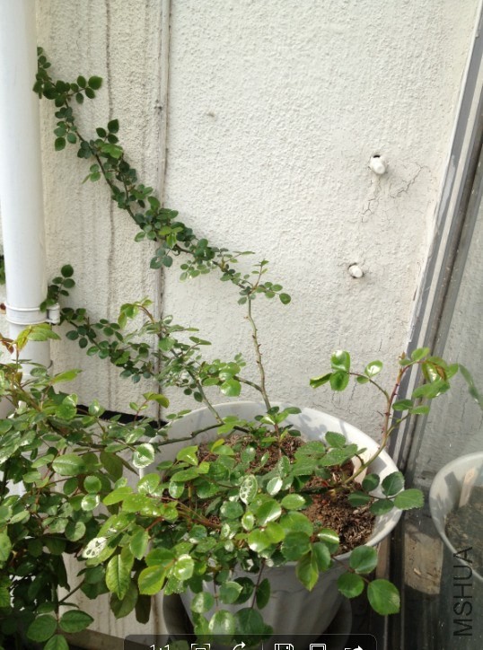 QQͼƬ20140407165701.jpg