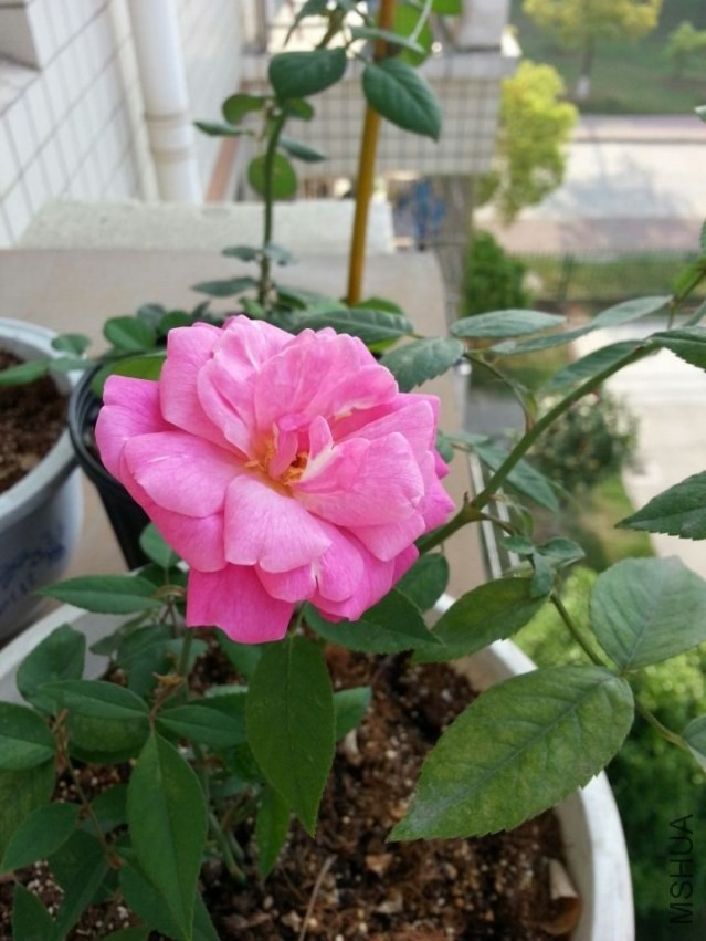 ��ɫ���140410