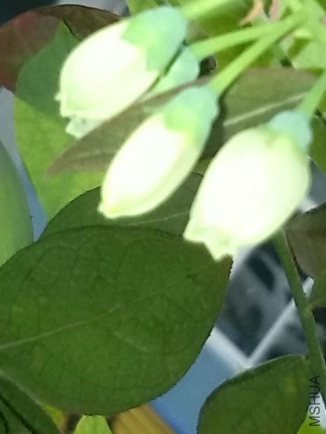 QQͼƬ20140410113011.jpg