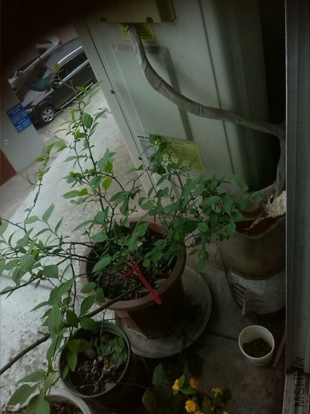 QQͼƬ20140410114507.jpg