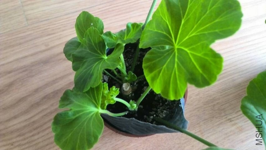 QQͼƬ20140410121019.jpg