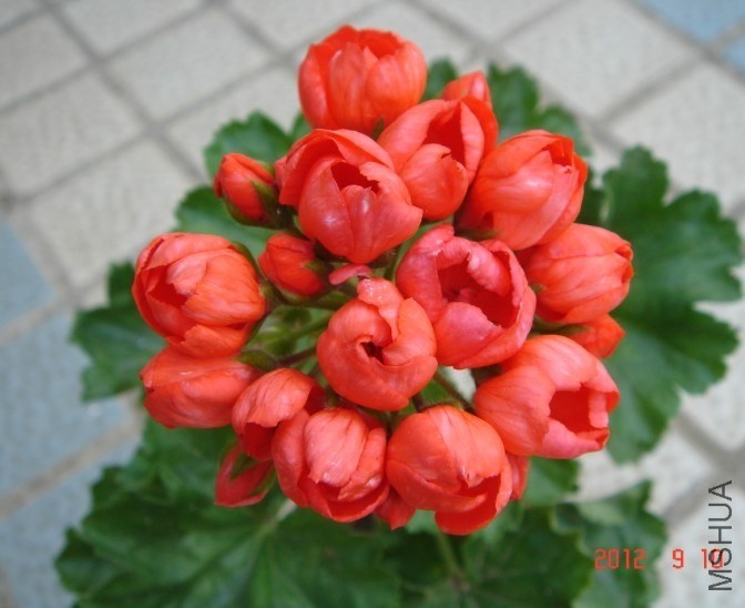 QQͼƬ20140223090524.jpg