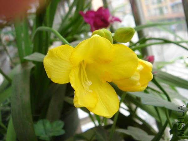 DSC04326.JPG