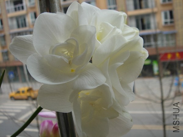 DSC04328.JPG