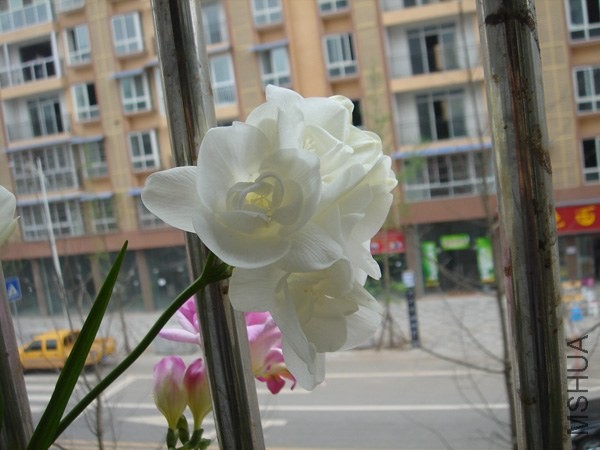 DSC04329.JPG