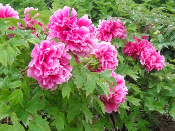 ��Ƭ 264_meitu_12.jpg