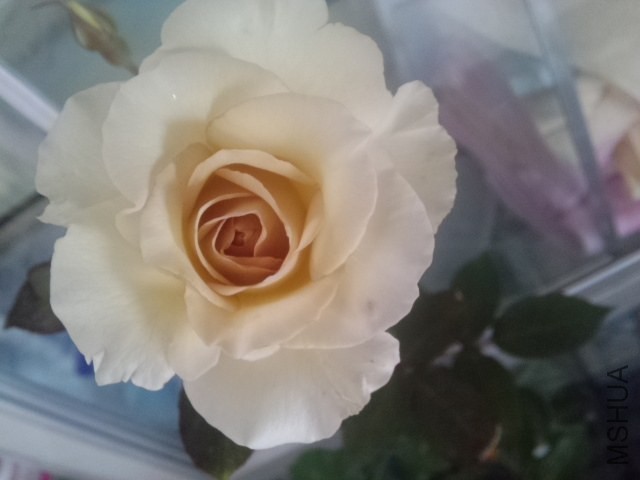 2014-04-09_10-42-39_435.jpg