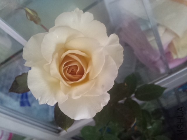 2014-04-09_10-42-43_710.jpg