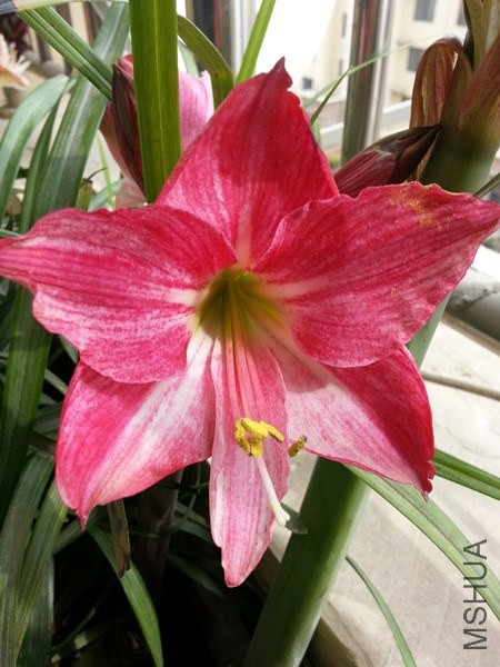 20140329_141610.jpg