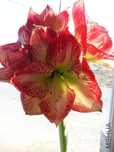 20140403_161556.jpg