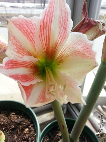 20140404_114101.jpg