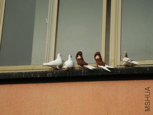 ͼƬ20140410134634.jpg